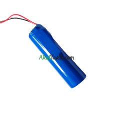 Varaakku PLC S-56