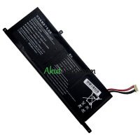 PDA:n vaihtoakku 10 Solki-8Lines 5074116PV-3S1P